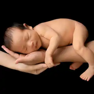 手の上のポーズ4