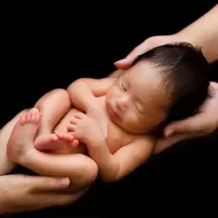 手の上のポーズ5