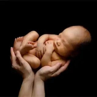 手の上のポーズ6