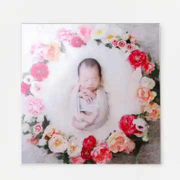 等身大10Pアルバム イメージ1